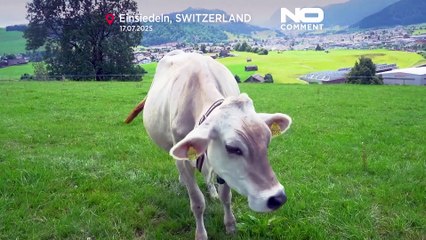 Latteria svizzera lancia formaggio con emoji per celebrare 10 anni