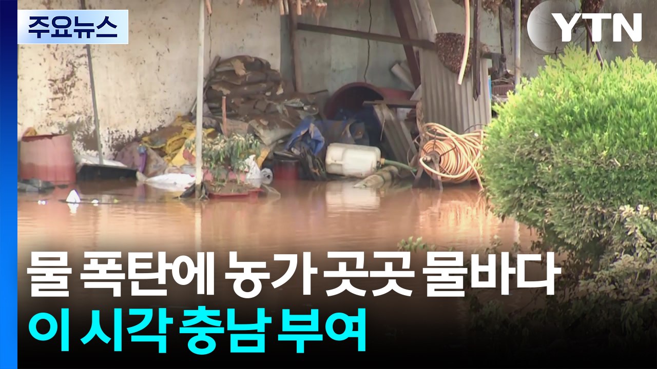 물 폭탄에 농가 곳곳 물바다...이 시각 충남 부여 / YTN