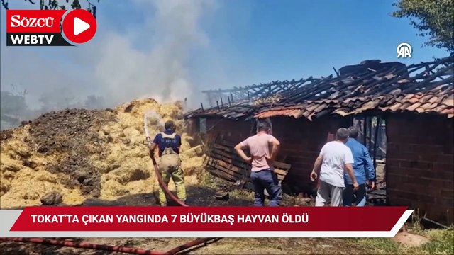 Tokat'ta çıkan yangında 7 büyükbaş hayvan öldü