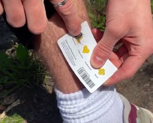 Your Go-To Guide for Easy, Smart Camping