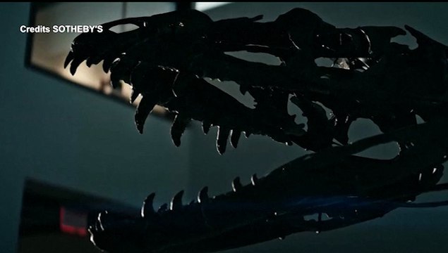 Venduti all'asta da Sotheby's un frammento di Marte e uno scheletro di dinosauro