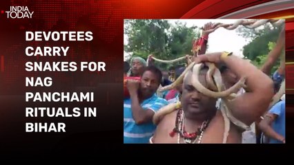 Video: Devotees carry snakes in Bihar's Samastipur during Nag Panchami fair