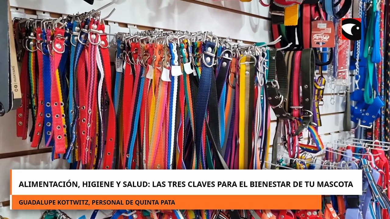 Alimentación, Higiene y Salud: las tres claves para el bienestar de tu mascota