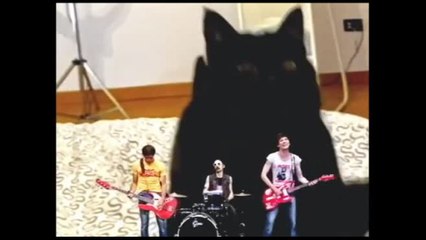 The Zen Circus, fuori "Miao", il nuovo singolo (e video)