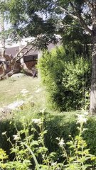 LE PLUS BEAU ZOO de France : Beauval