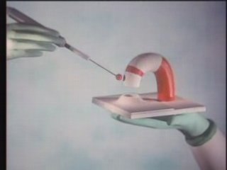 Une mission éphémère -  Piotr Kamler