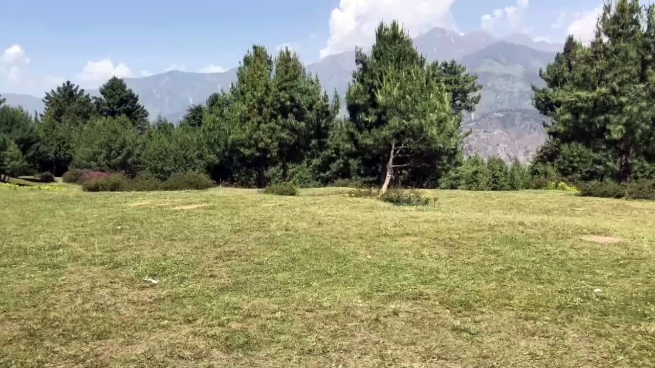 Pine Hotel Shogran