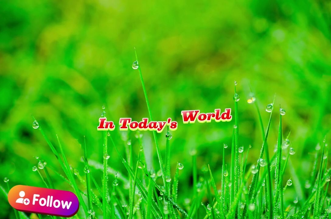 HOW SILENCE WINS EVERY TIME  Denzel Washington Motivation | Denzel Washington Motivation Video