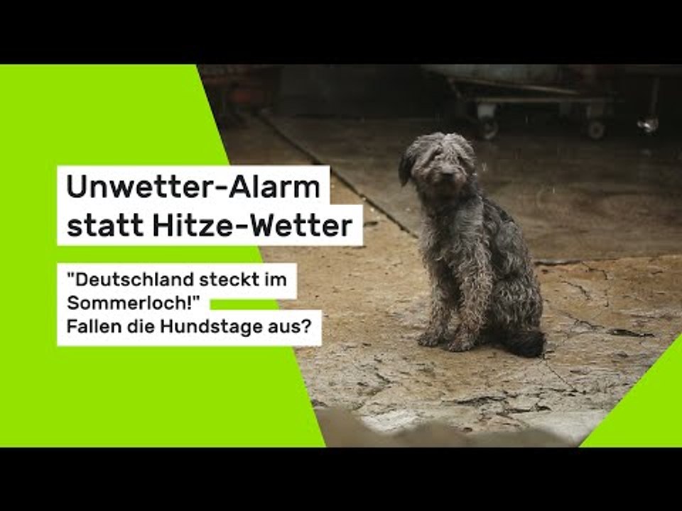 Unwetter-Alarm statt Hitze-Wetter: 'Deutschland steckt im Sommerloch!' Fallen die Hundstage aus?