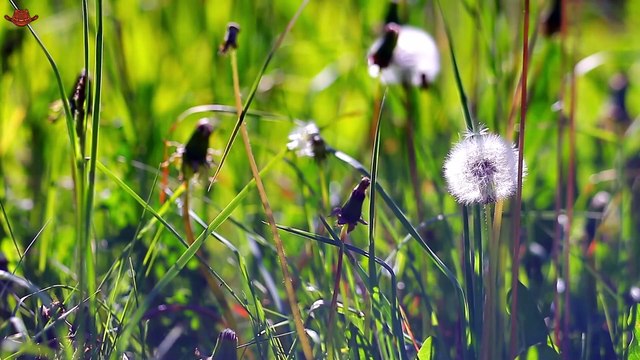 Top Country Songs 2025 🎸 Morgan Wallen, Luke Combs, Jason Aldean 🎸 Best Country Playlist_Part 02