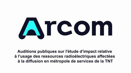 Audition publique sur l'étude d’impact relative à l’usage des ressources radioélectriques affectées à la diffusion en métropole de services de la TNT : représentants de L'Express