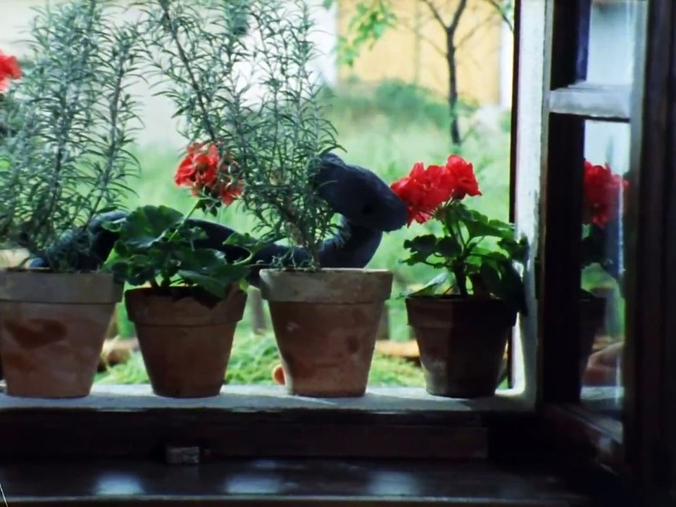 Von der verzauberten Schlange (DDR 1985)