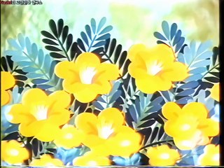 타오타오 오프닝