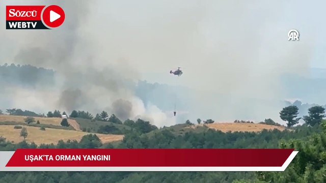 Uşak'ta orman yangını! Havadan ve karadan müdahale ediliyor