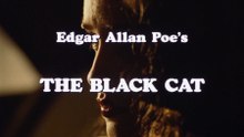 The Black Cat 1989 VF FHD
