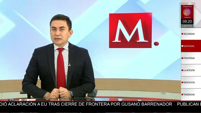 Caen tres pescadores furtivos en Yucatán; llevaban especies en veda