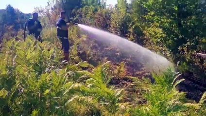 Çıkan dumanlar köyde büyük panik yaşattı