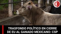 Cierre de EU al ganado mexicano tiene trasfondo político, dice Claudia Sheinbaum