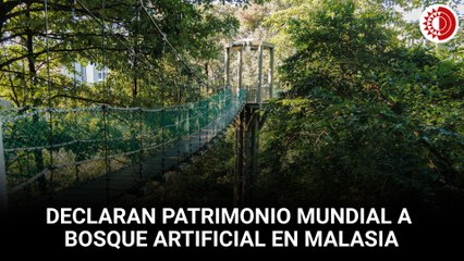 Bosque artificial de Malasia entra a la lista de Patrimonio Mundial de la UNESCO