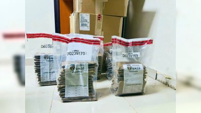 Autoridades incautan 75 láminas de cocaína en cajas de tabaco
