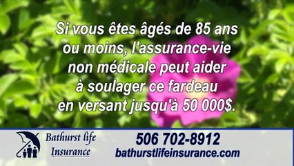 TVA Nouvelles CHAU 12H 17 JUILLET 2025