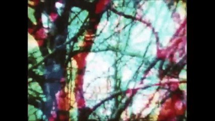 Dawn by Arthur Rimbaud read by Lori Gomez