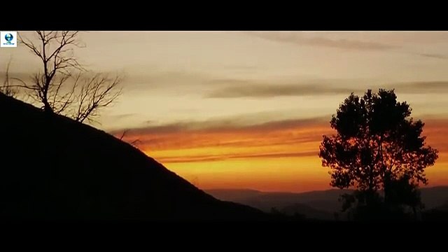 GRIZZLY - Hindi Dubbed Full Movie _ Hollywood Action Adventure Movie In Hindi Dubbed