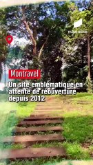 [GUYANE] Pourquoi ce site magnifique est interdit depuis 13 ans ?