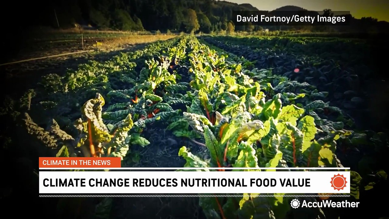 Climate change linked to decline in nutritional quality of food