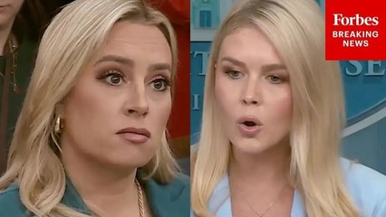 Fox's Jacqui Heinrich To Leavitt: 'Can You Clarify Which Part Of The Epstein Hoax Is The Hoax Part?'