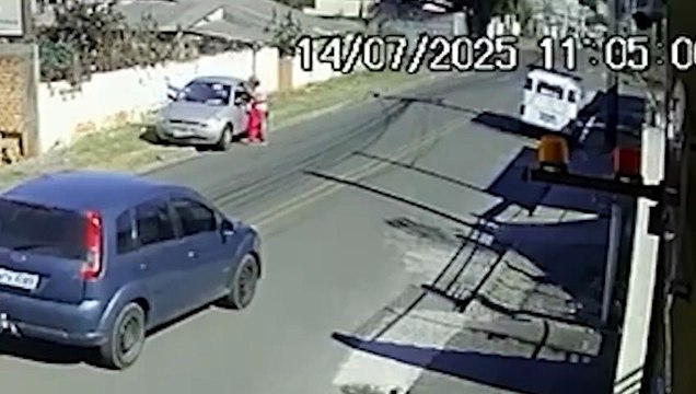 Mulher rouba cachorro de criança em plena luz do dia e se recusa a devolver