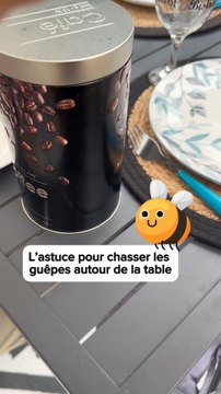 L’astuce pour chasser les guêpes autour de la table