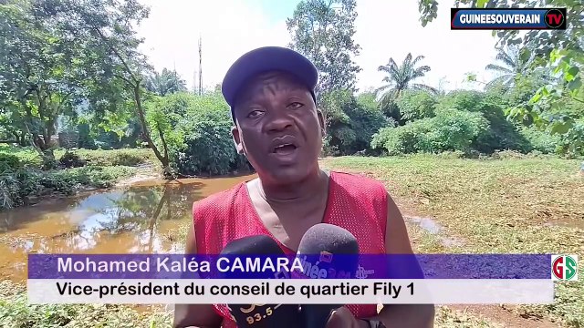 Trois (03) morts et plus de 200 ménages impactés à Coyah et Manéah