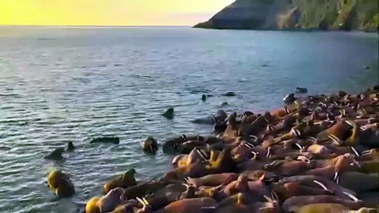 PACIFIC OCEAN