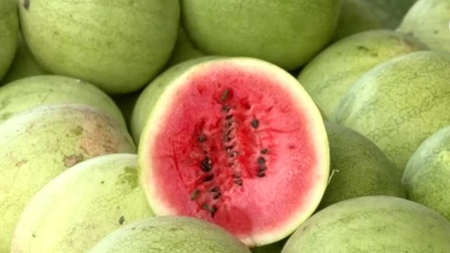 Cambio climático afecta la producción en Panamá