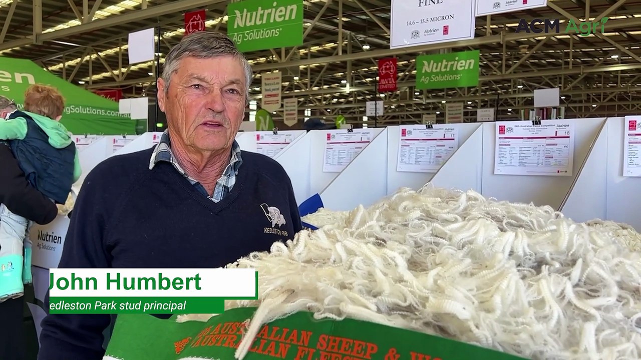 First-ever medium wool fleece wins grand champion at ASWS