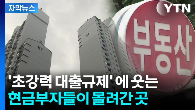 [자막뉴스] 때릴 수록 더 올랐다...'고가 아파트' 가격 3배 폭등 / YTN