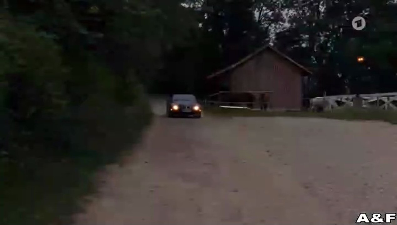 Utta Danella -01- Der schwarze Spiegel