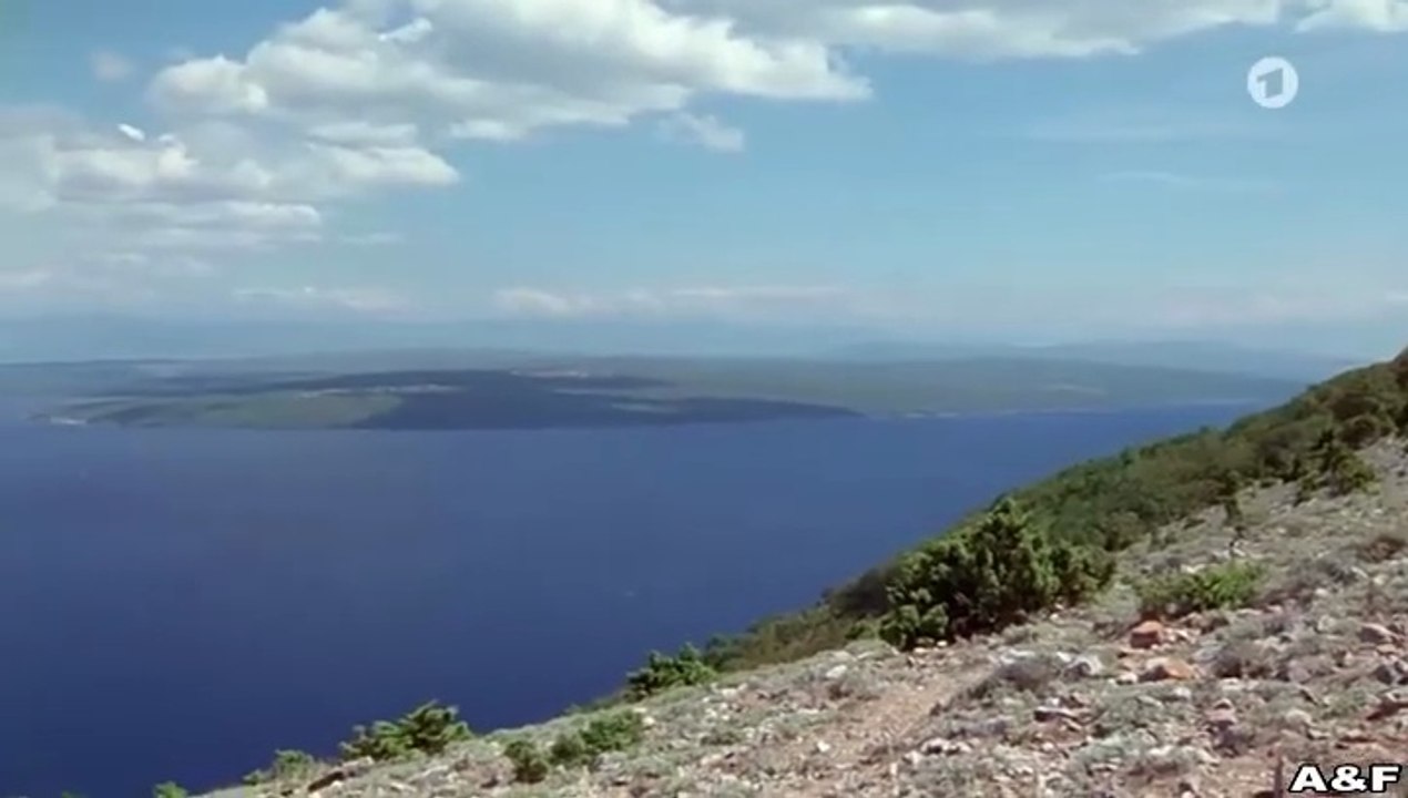 Utta Danella -02- Der blaue Vogel (1)