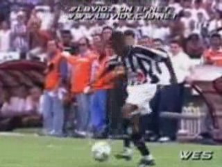 Robinio Le talent a l'etat pur