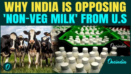 India’s Stand on the 'Non-Veg Milk' Debate| Culture, Economy & the Right to Ask