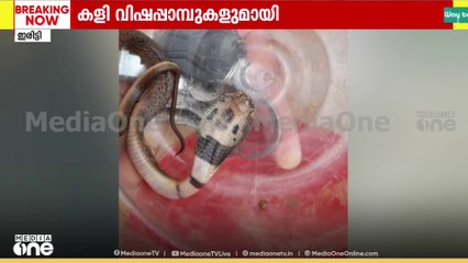 മൂർഖൻ പാമ്പിനെ കൈകൊണ്ട് പിടിച്ച് കുപ്പിയിലടച്ച് കുട്ടികളുടെ കളി; ചിത്രം അമ്മയ്ക്ക് അയച്ചുകൊടുത്തു