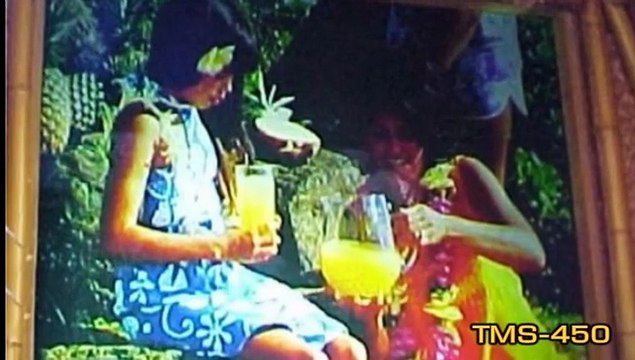 Enchanted Tiki Room Disneyland History TMS-450