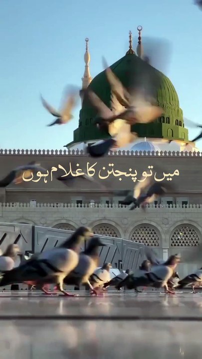 Main To Panjtan Ka Ghulam Hoon ❤️ | One Line That Touches Every Heart  #youtubeshorts #shorts