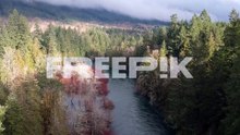 drone flying backward ten meters above the cowichan river in winter with trees and clouds .