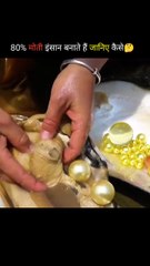 The Shocking Truth About How Pearls Are Formed#facts #amazingfacts #viral