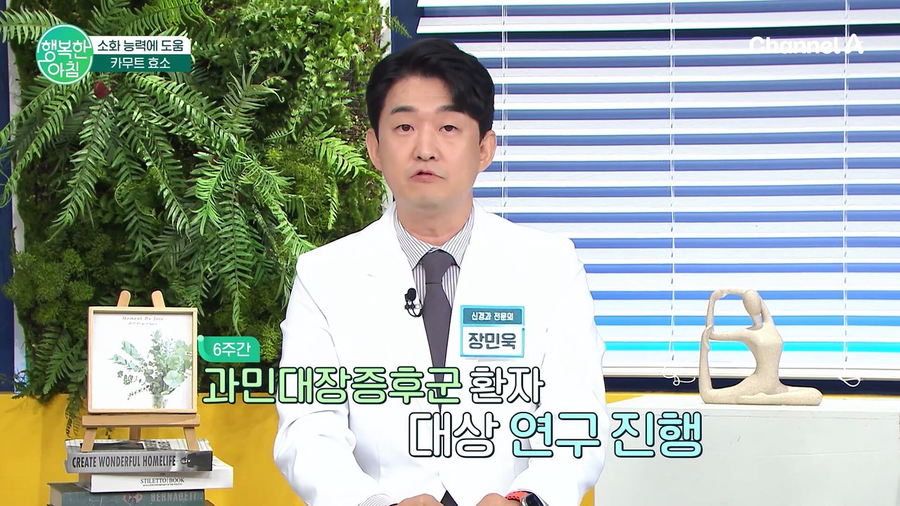 장독소 배출에 탁월한 카무트 효소란?