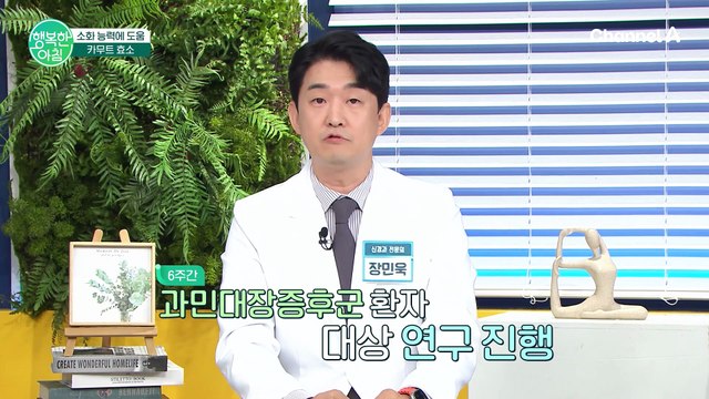 장독소 배출에 탁월한 카무트 효소란?