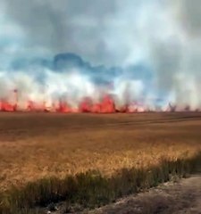 Huge Crop Fire Devastates Hursley 🌾