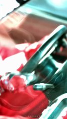 亲爱的，我要结婚了（下）张磊＆韩雨彤 (2025)